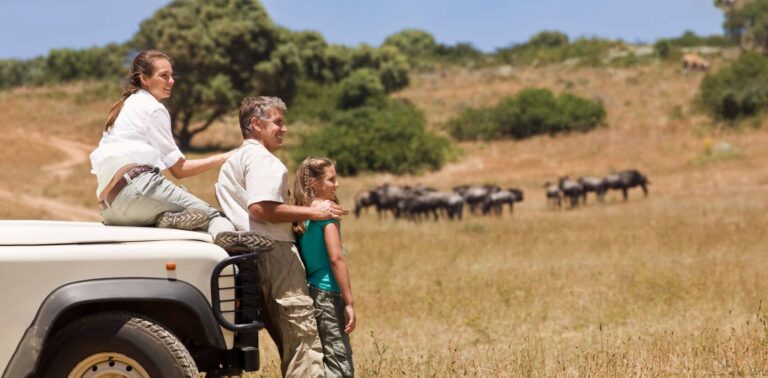 Family Safari Vacations: A Complete Guide to Memorable Wildlife Adventures in 2025