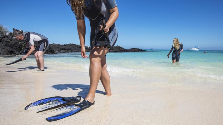 Active Adventures Galapagos: The Ultimate Guide to Exploring the Islands